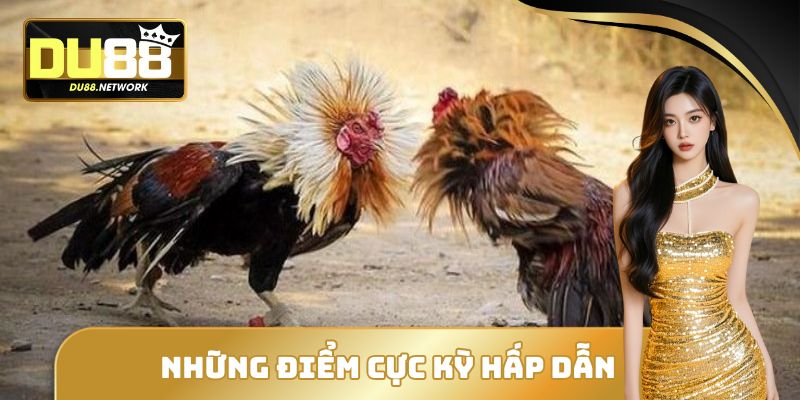 Đá Gà Trực Tiếp DU88 - Sân Chơi Đổi Thưởng Uy Tín Đẳng Cấp 2 Những điểm cực hấp dẫn tại đá gà trực tiếp DU88