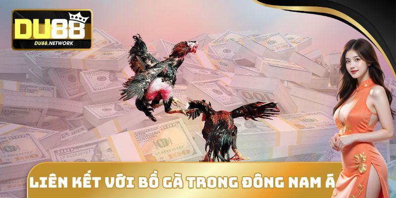 Đá Gà DU88 - Thể Thao Máu Lửa Thu Hút Đông Đảo Hội Viên 3 Liên kết với bồ gà trong Đông Nam Á