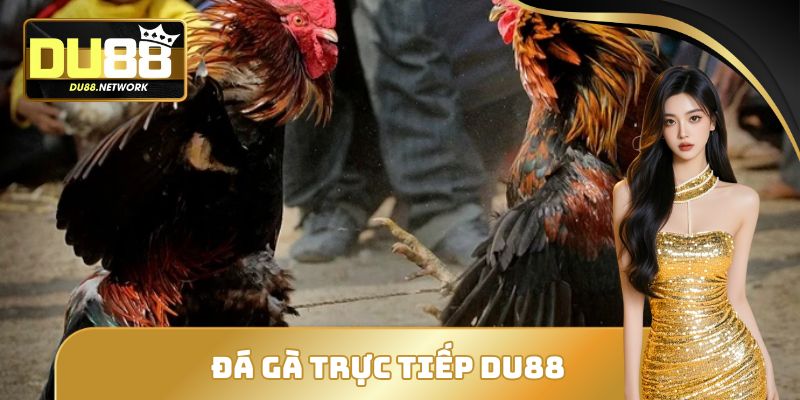 Đá Gà Trực Tiếp DU88 - Sân Chơi Đổi Thưởng Uy Tín Đẳng Cấp 8 Đá Gà Trực Tiếp DU88